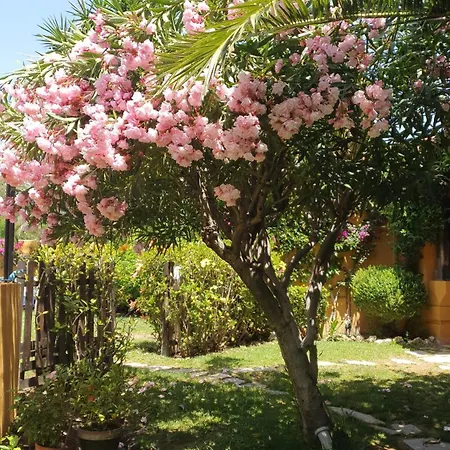 Hotel Family Al- Ana Marbella