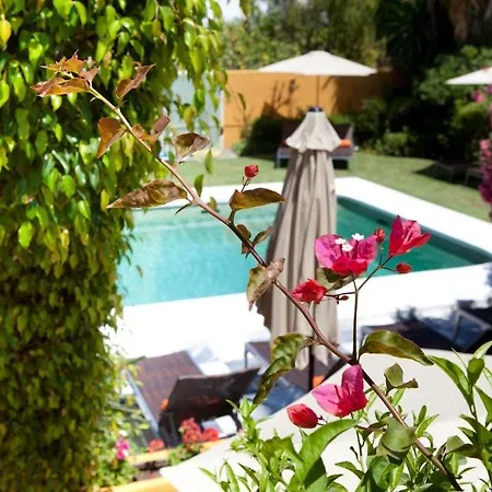Hotel Family Al- Ana Marbella 3*